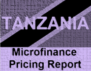 Microfinance Pricing Report: Tanzania