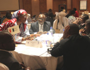 African Leadership Forum Discussion Insights: Challenges and Solutions