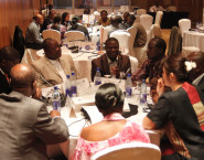 African Leadership Forum Report