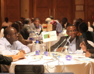 African Policymakers Outline the Way Forward in Transparent Pricing